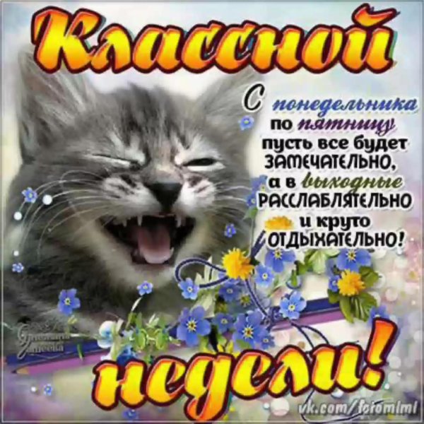 хорошей недели