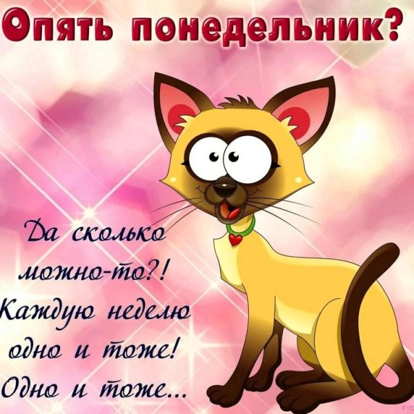 опять понедельник