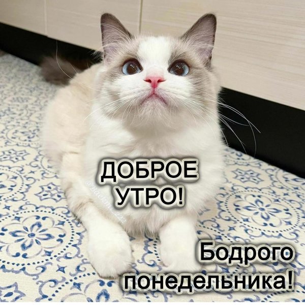 доброе утро бодрое