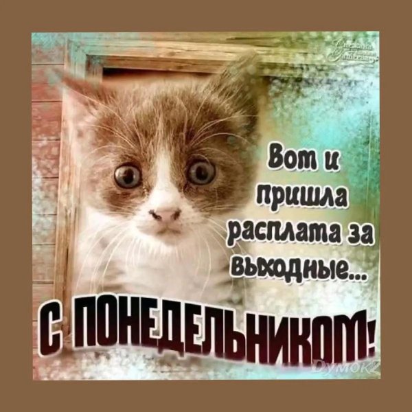 с понедельника