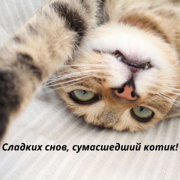 Милые с надписями прикольные