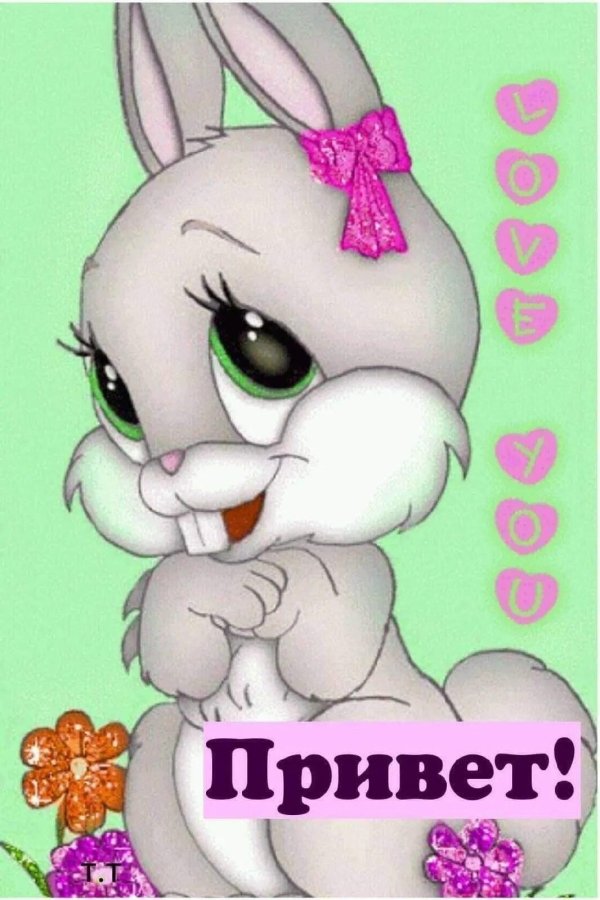 любимому зайке