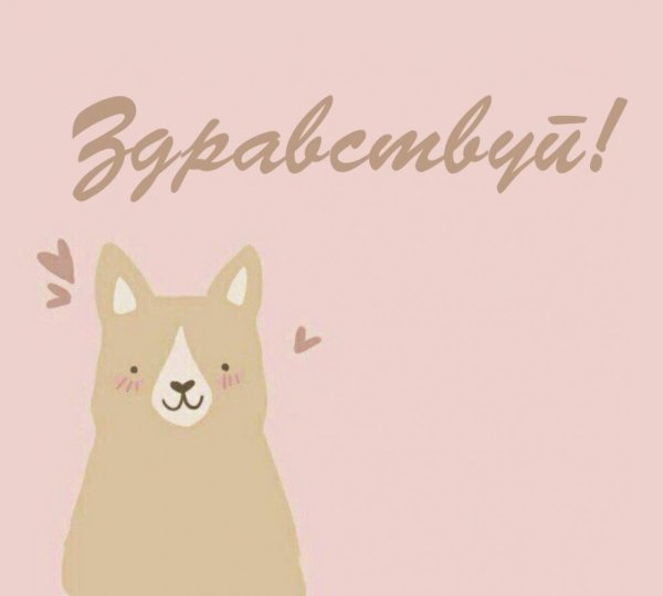 милые тексты