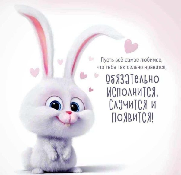 кролик пожелания