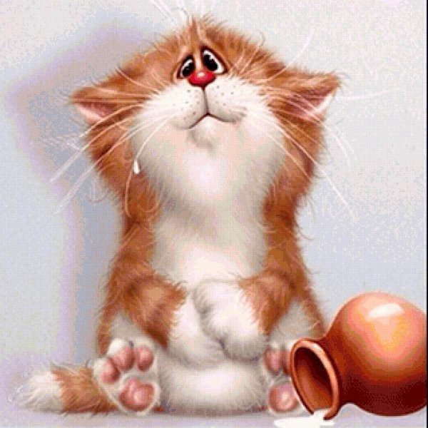 коты алексея долотова