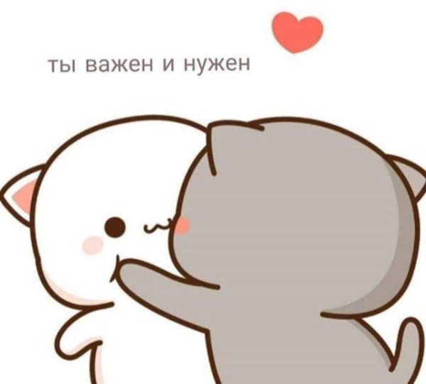 кавайные котики парочка