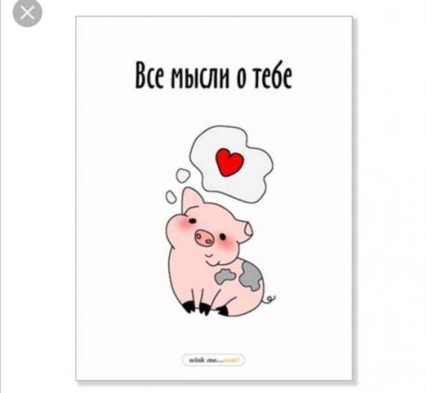 люблю тебя хрюшка