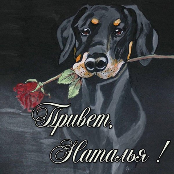 день рождения собаки