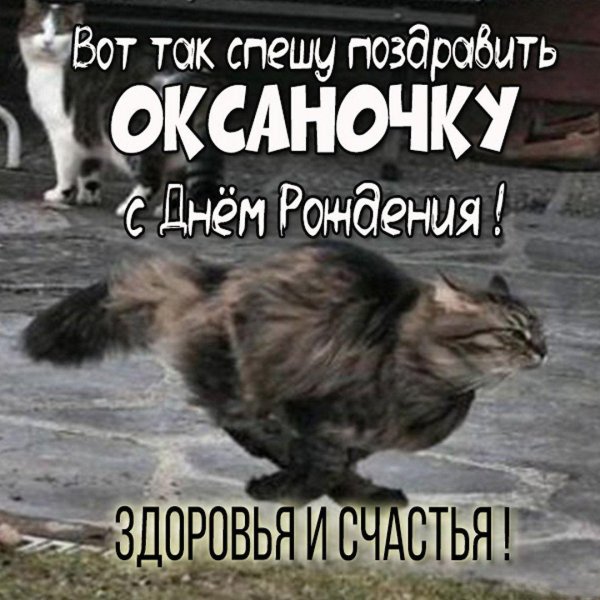 с день рождения оксана