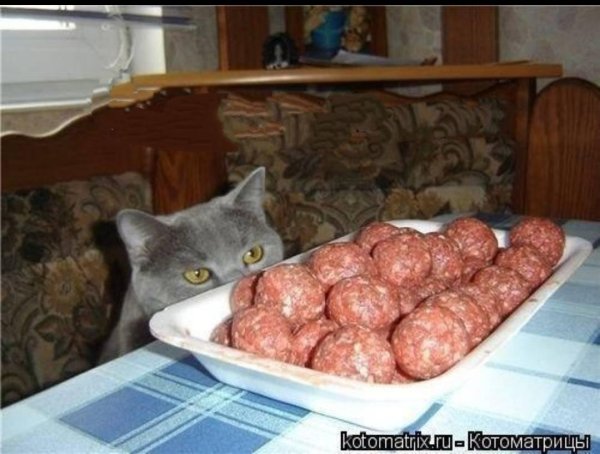 смешная котлета