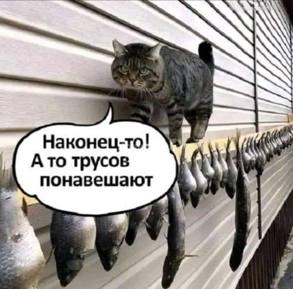 ну наконец то дождались