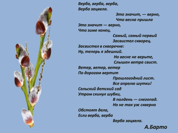 стих про вербу