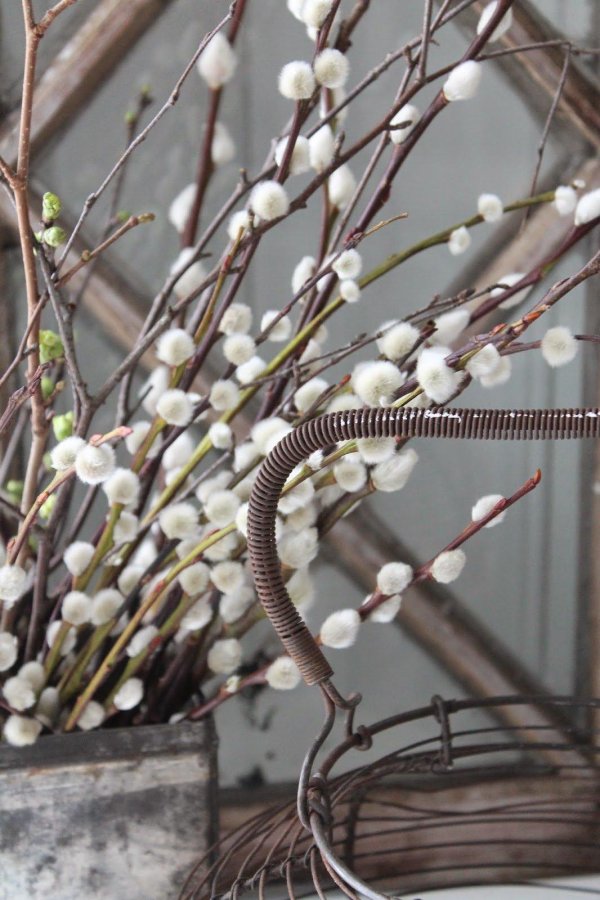 декор вербы