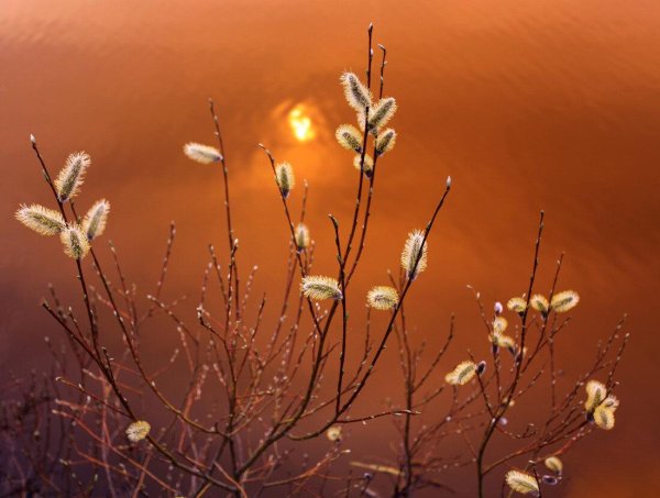 весенний закат