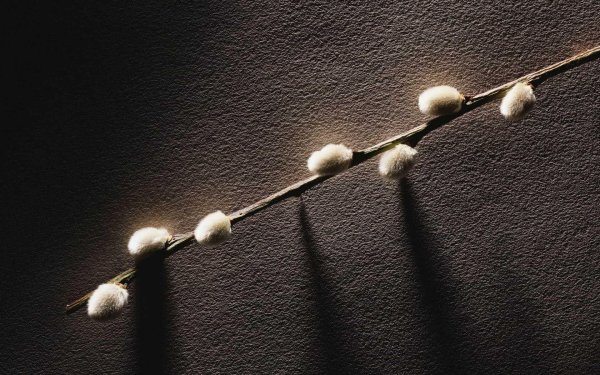 вербное воскресение