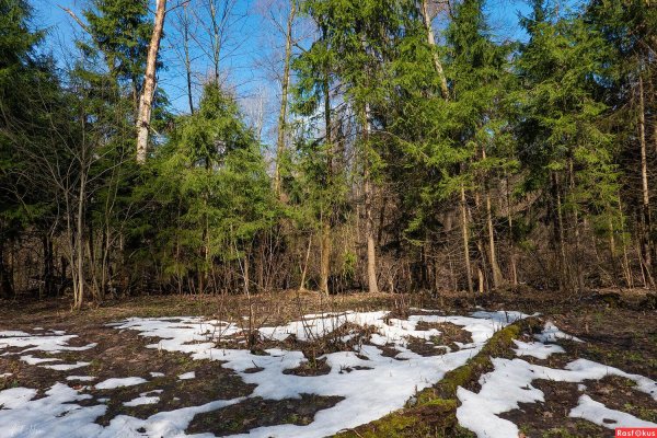 весенняя проталинка левитана