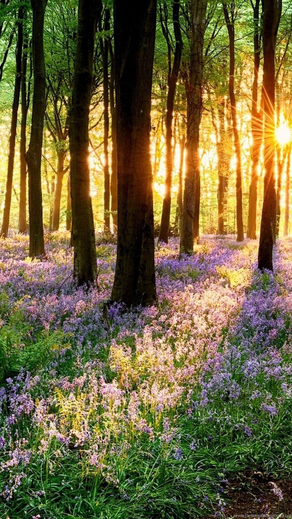 природа весна