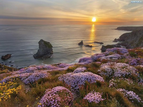 морские пейзажи