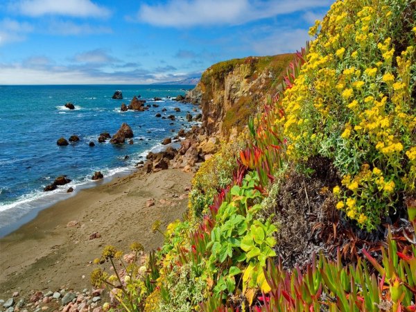 california coastline