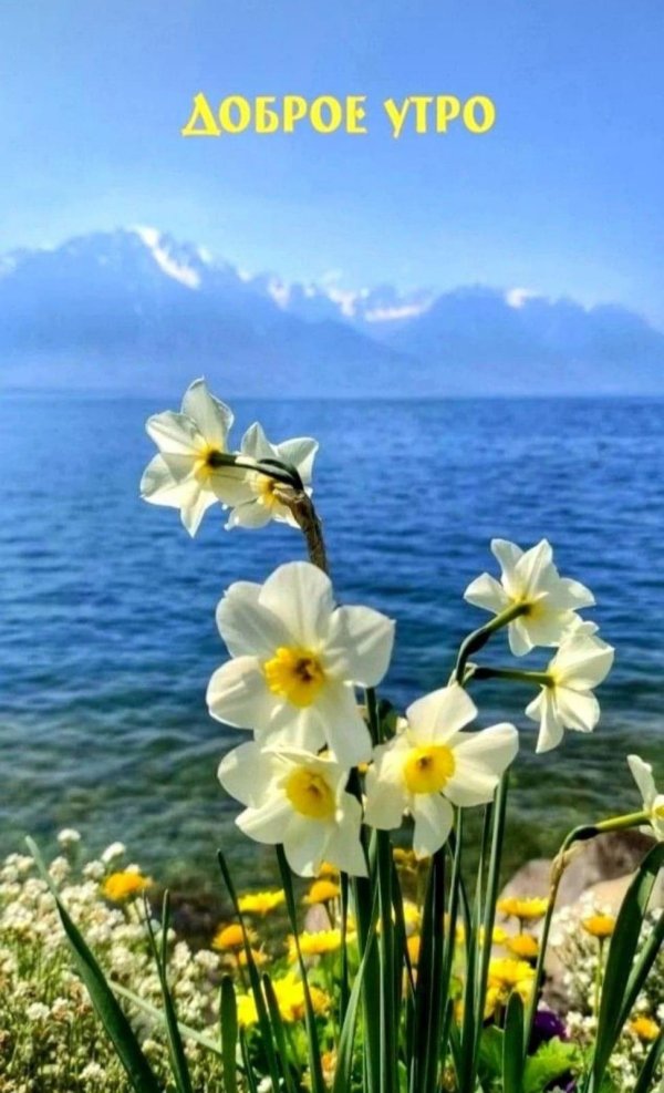 доброго утра весеннего
