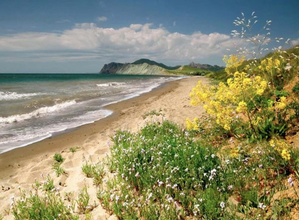 анапская пересыпь оопт