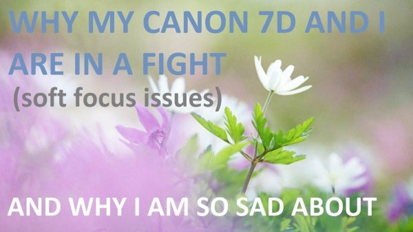 размытый фон природа