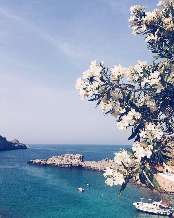 греция родос