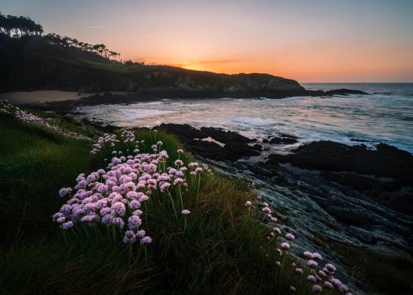 пейзажи с морем