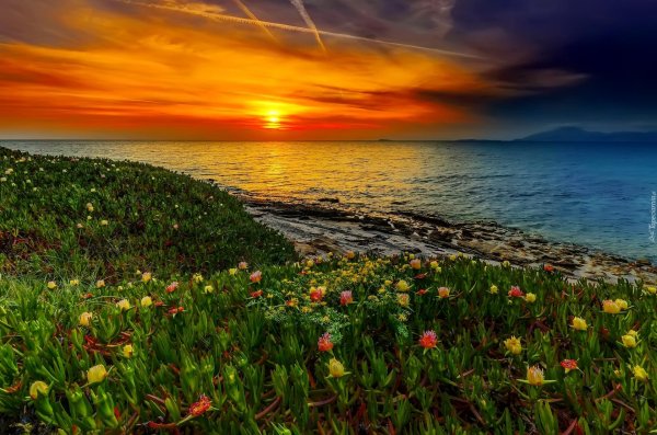 закат природа