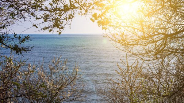 весеннее море