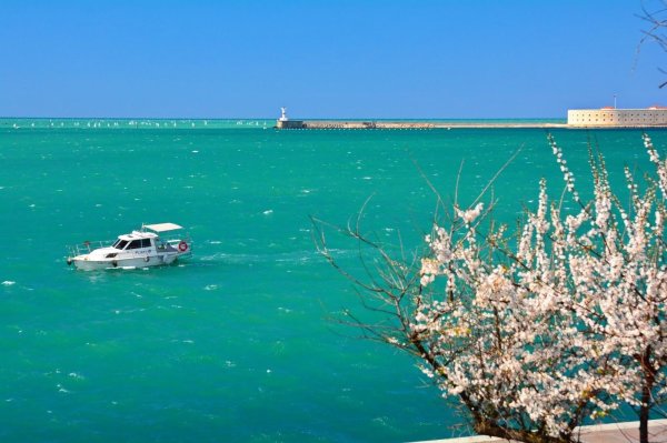 севастополь весной