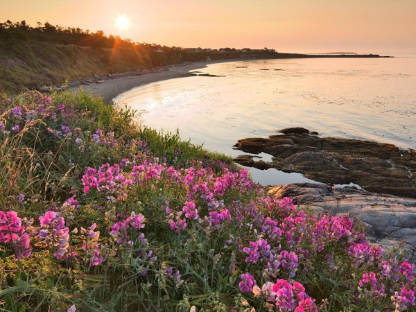 природа море