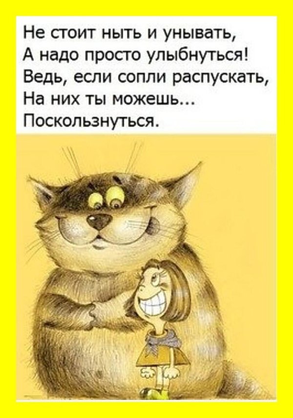 юморные высказывания