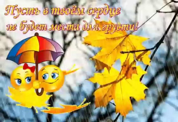 не грусти осень
