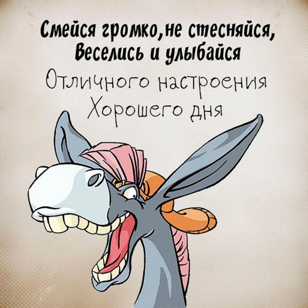 приветствие прикол