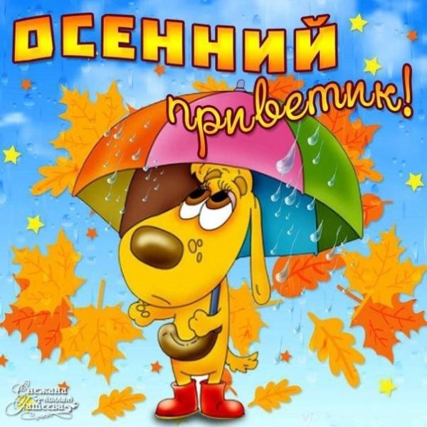 осенний привет