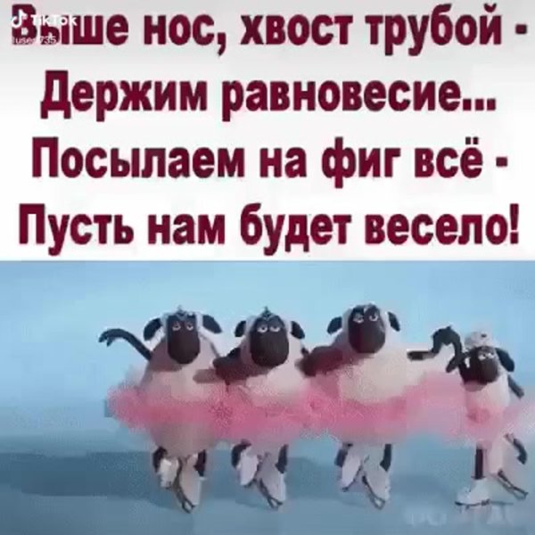 держи хвост трубой