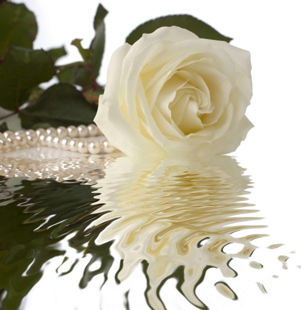 красивый жемчуг