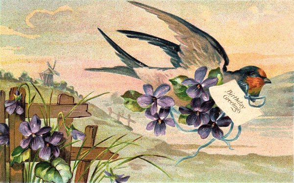 чарльз войси ласточки