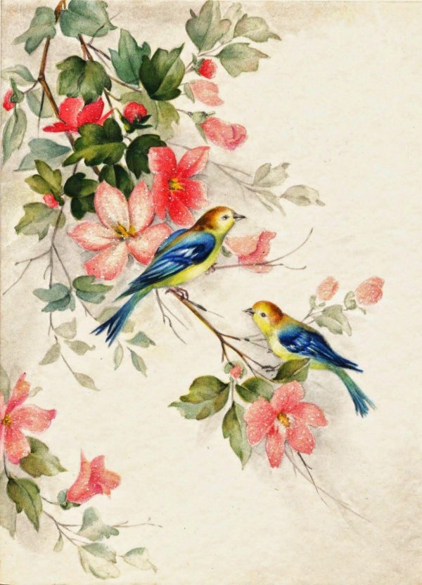 carolyn shores wright картины