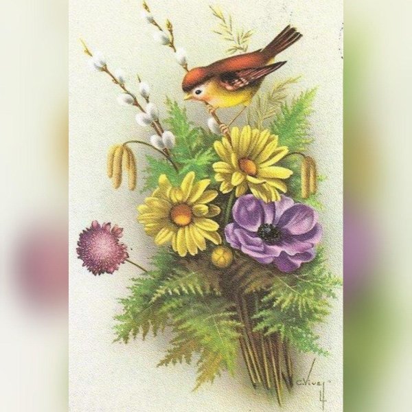 декупажные карты птицы