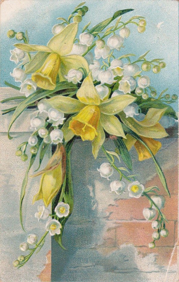 катарина кляйн ландыши