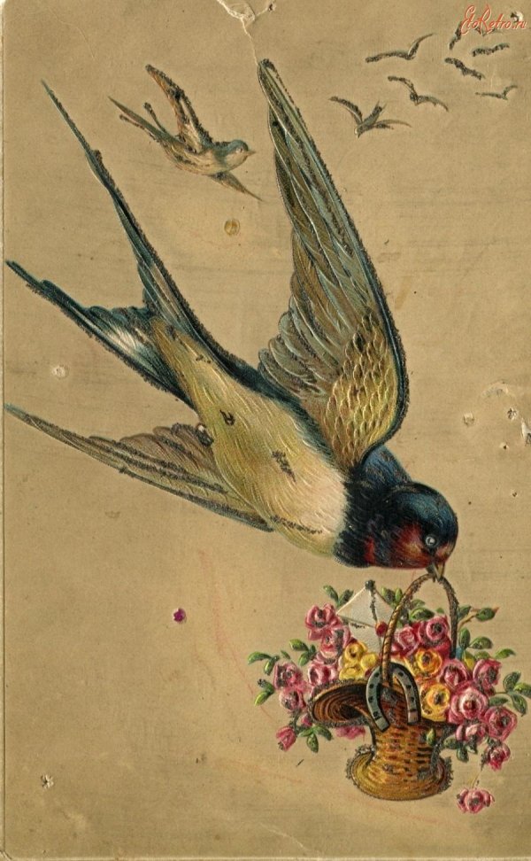 картина ласточка