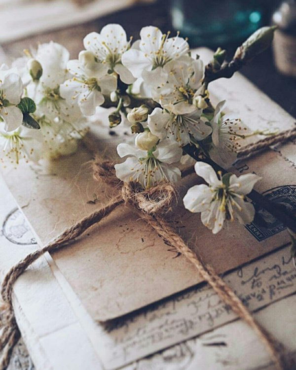 цветы и книга