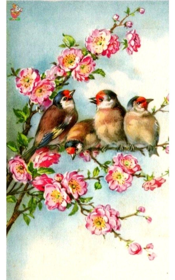 живопись птицы