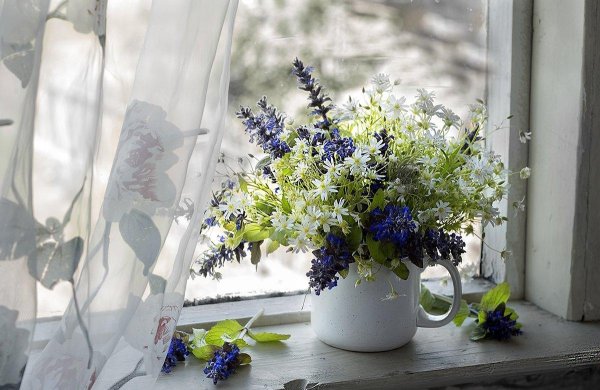 доброе утро незабудки