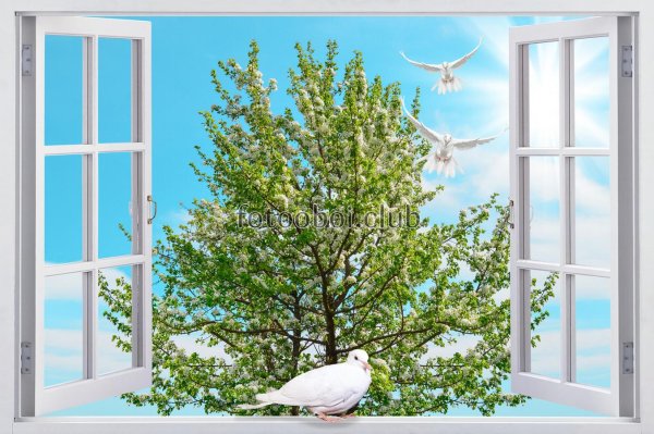 деревья за окном