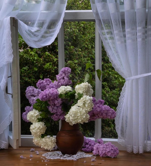 сирень натюрморт