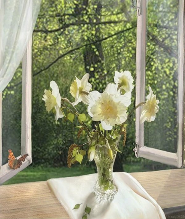 цветы у окна