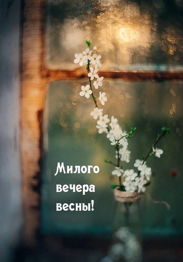хорошего весеннего вечера